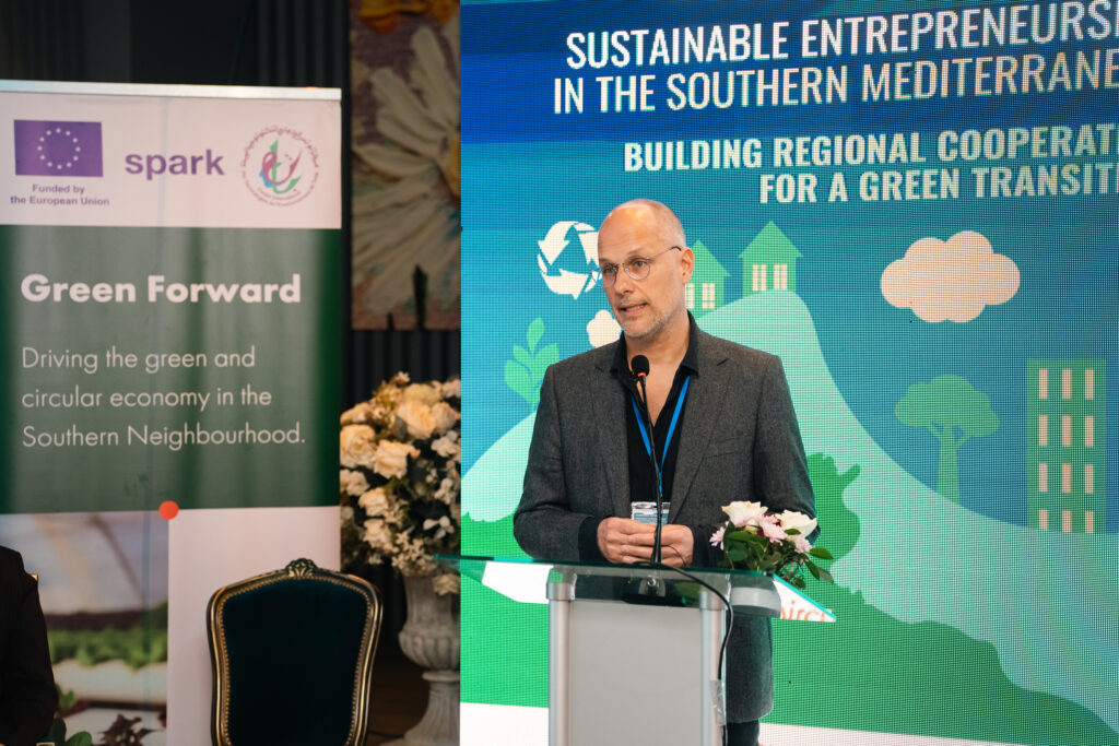 Giorgio Mosangini - MedWaves